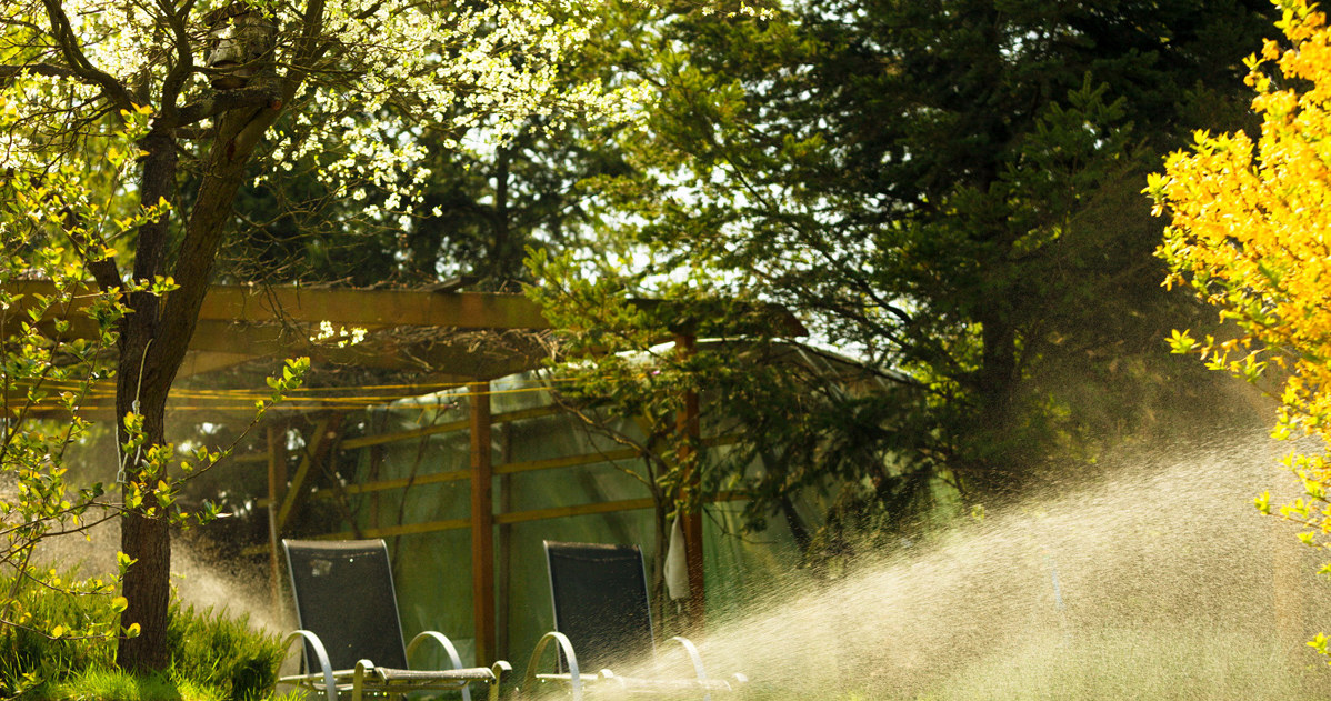 The garden does not have to slip during your holidays. There is a way for the plants to water themselves