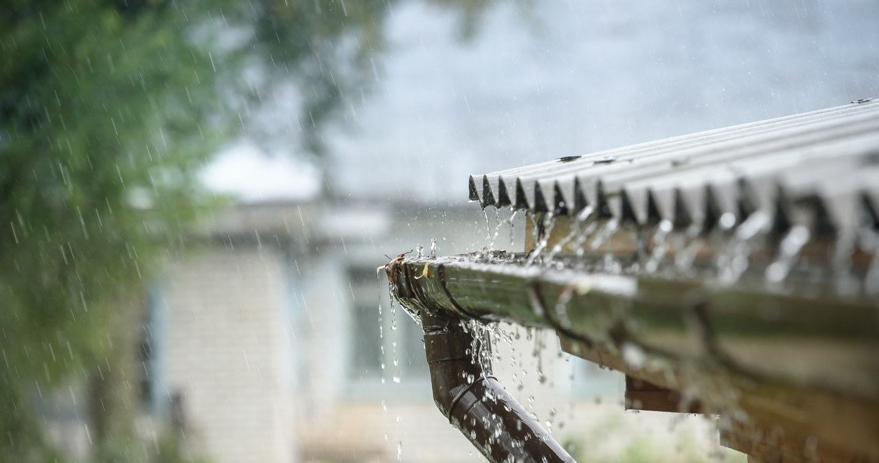 The water draining pipes from the roof go to drainage pipes arranged in the ground, near the root zone of plants. /123RF/PICSEL
