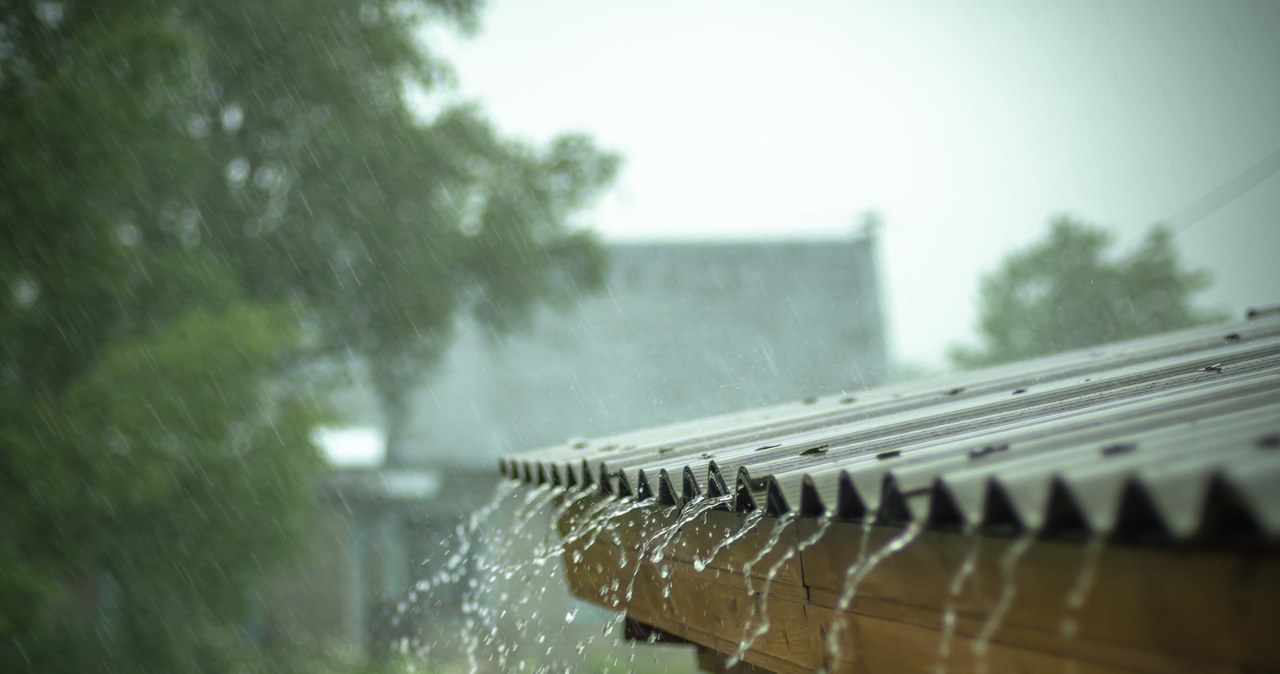 Rain can make our plants attacked by diseases