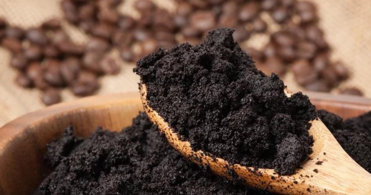 Coffee coffee grounds will scare away mosquitoes