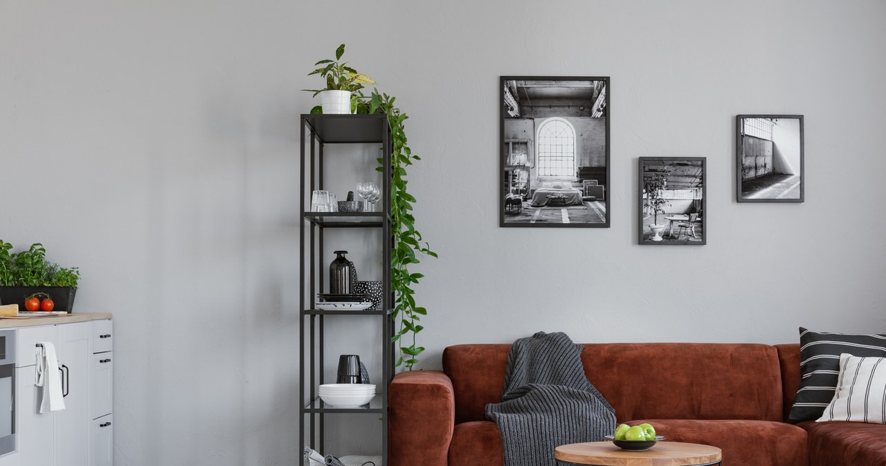 Not wooden anymore. Now such furniture reigns in Poles' salons and bedrooms