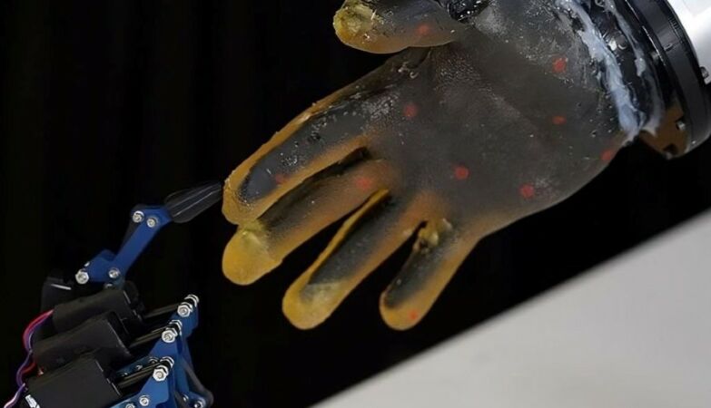 New skin made of gelatin allows robots to feel light touches and cuts