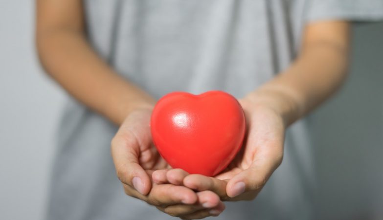 Why is the heart cancer so rare?