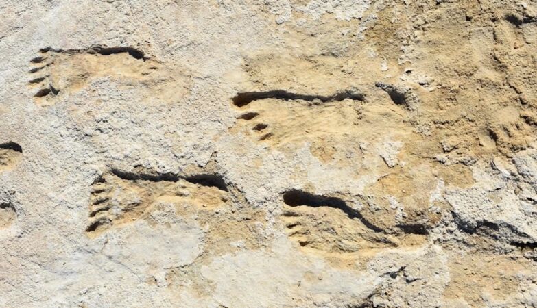 New study confirms the oldest human activity in the Americas