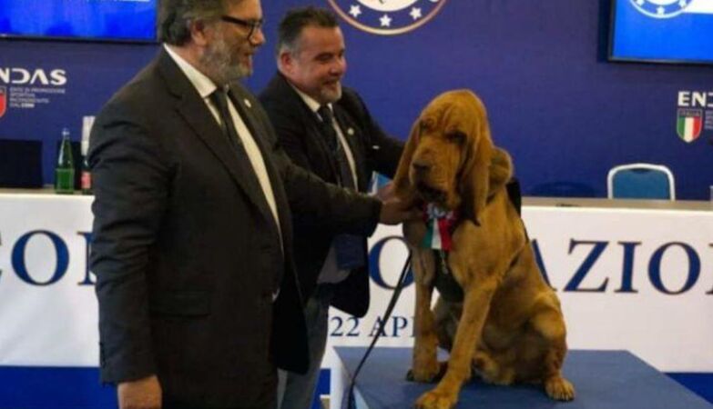 Bruno died, the hero dog. Was murdered with sausages full of nails