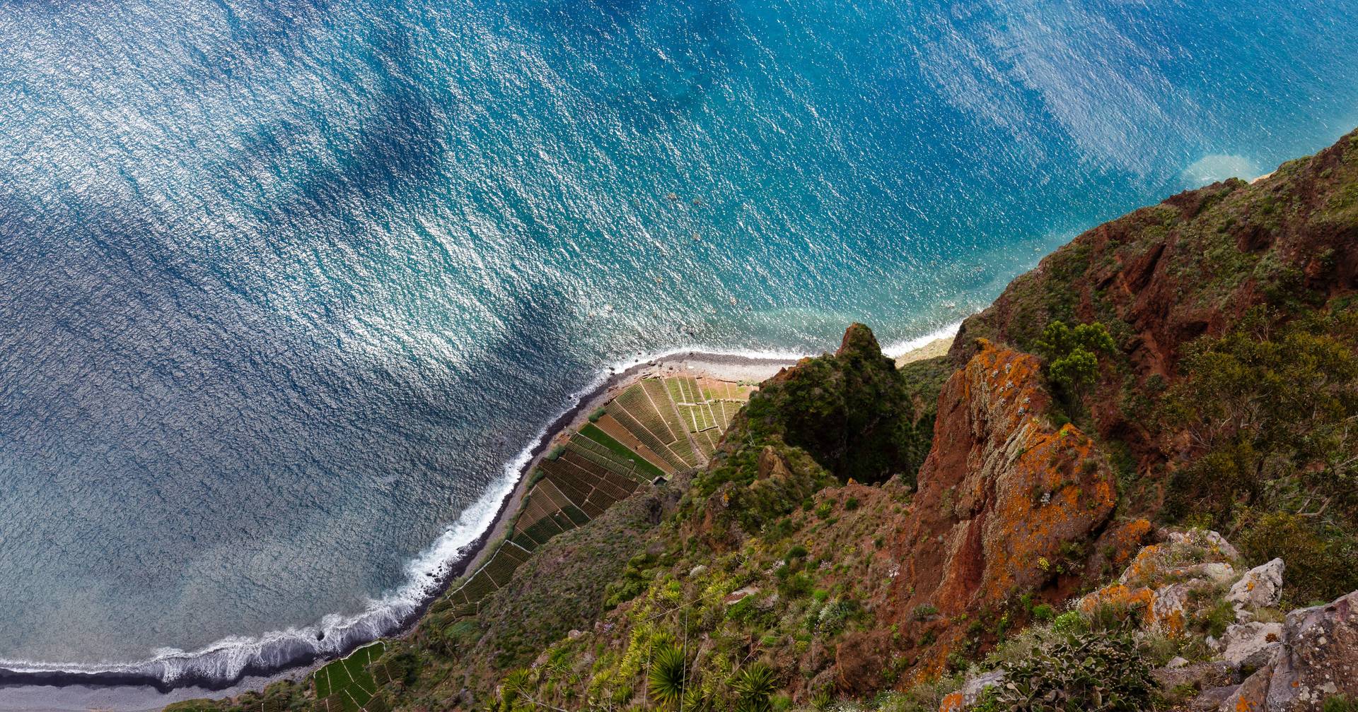 “The Hawaii of Europe”: from Americans to the Portuguese, Madeira conquers tourists