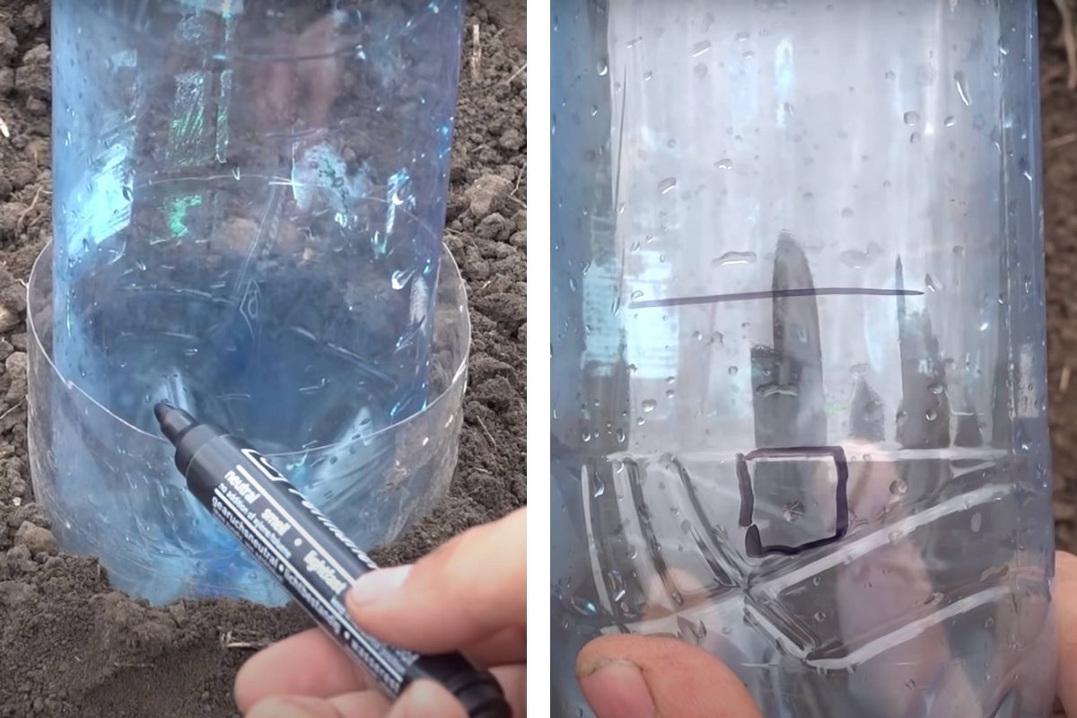 Watering plants from the bottle. Convenient solution when you are gone