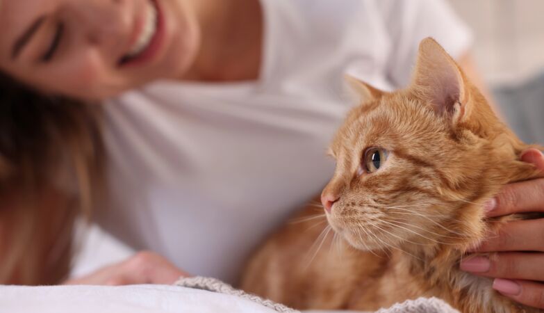 If you talk to your pet like a friend… Continue
