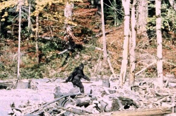 The chamber lies: 6 historical photographs prove it