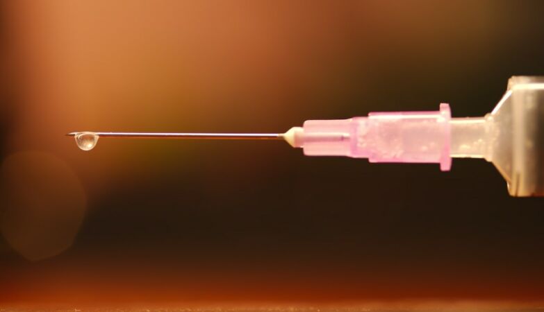 Experimental vaccine against (mortal) candidiasis advances in Portugal