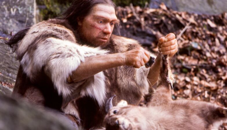 A disgusting theory can solve a long mystery about the diet of Neanderthals