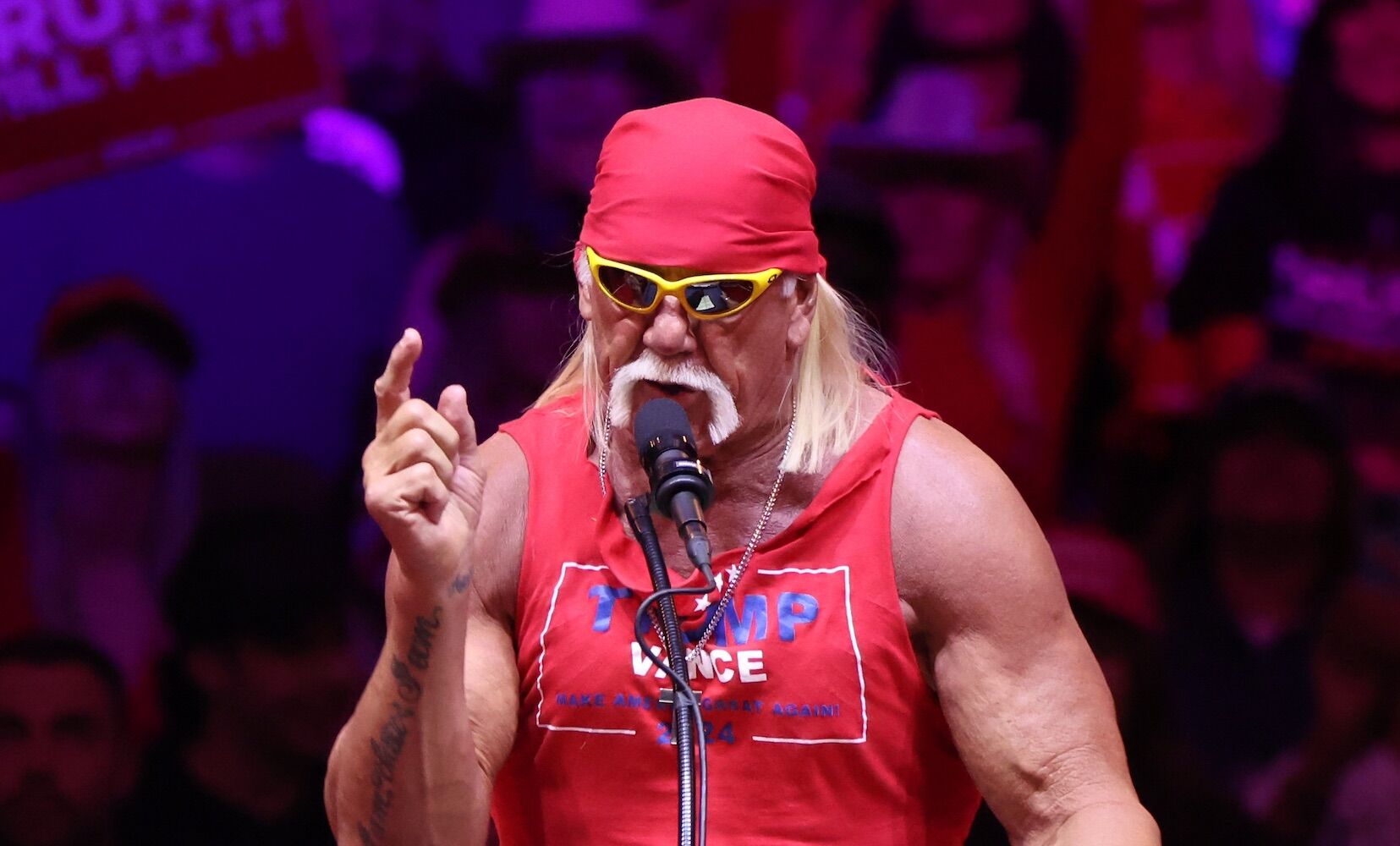 Hulk Hogan, wrestling superstar died