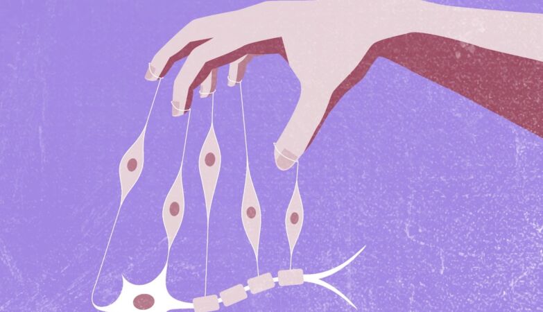 Machado-Joseph: Portuguese discover that internal biological clock is deeply affected
