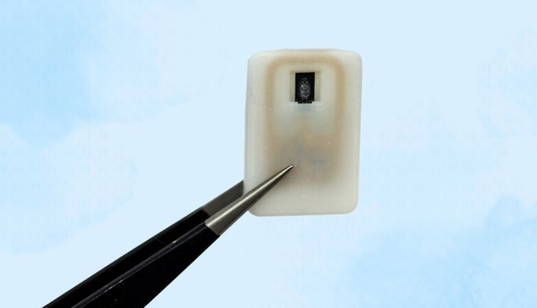 MIT creates implant that can rid diabetics from death