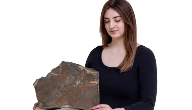 Piece of Mars is for sale for almost $ 2 million