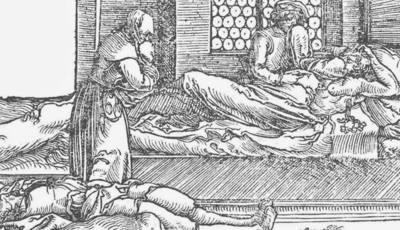 Large brains, farms and killer insects: a story of evolution that has affected us forever