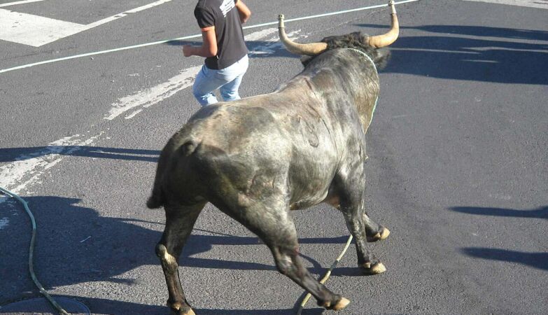 Taurus drowned in bullfighting in the third. It is not known what happened