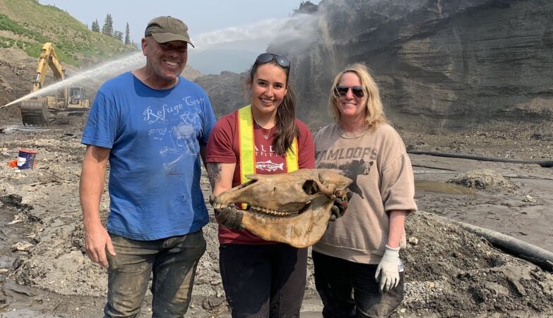 A “wonderful” ice age skull was found in Canada
