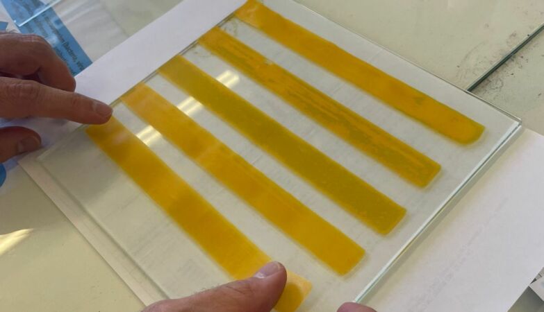 Bioplastic with curcumin has antibacterial properties; It is to be used in hospitals