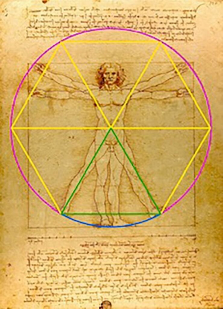 Dentist Deciphe Puzzle Geometric Centenary in the Vitruvian Man of Da Vinci