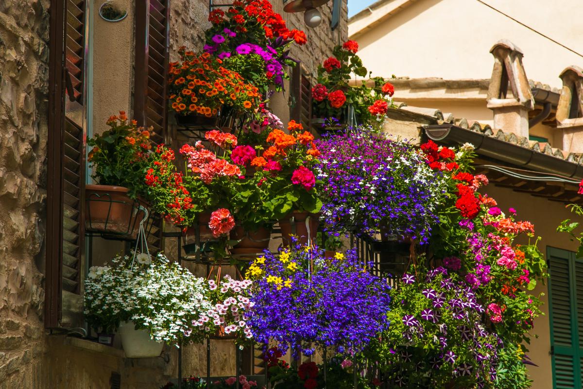 Flowered balcony with suspended vases