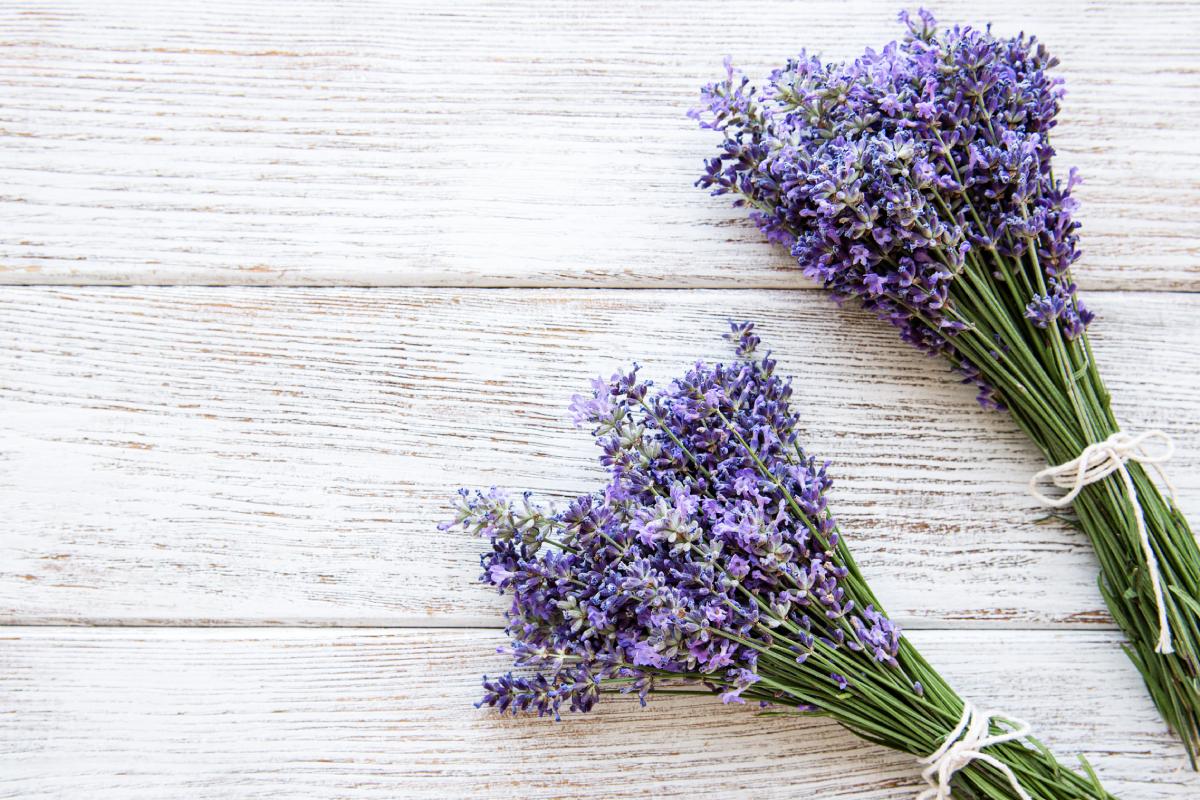 How to perfume the house with DIY