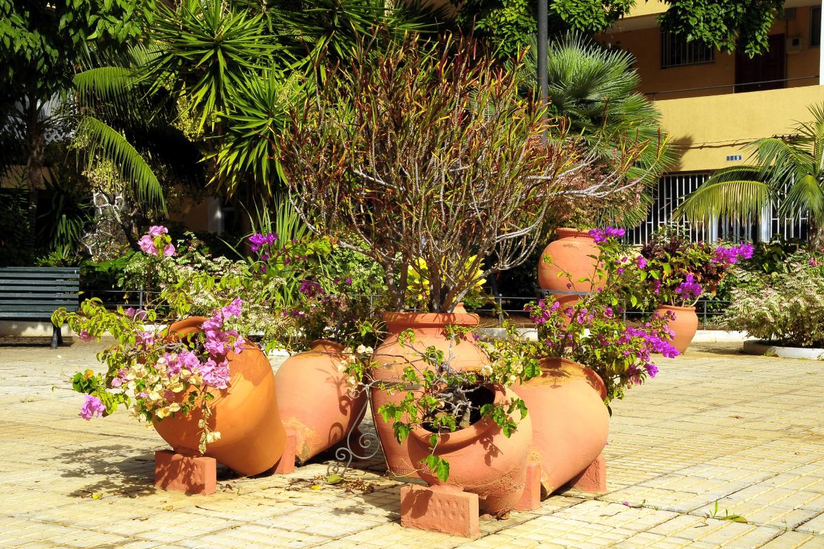 The importance of the coccio vessels