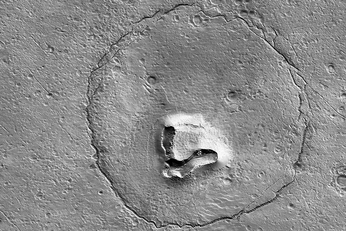No aliens - but we have already seen a face, a door, a zebra and a bear on Mars