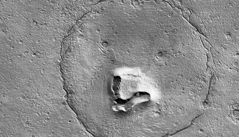 No aliens - but we have already seen a face, a door, a zebra and a bear on Mars