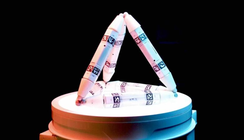 Startup creates cannibal robots that use pieces of others, grow, regenerate and evolve