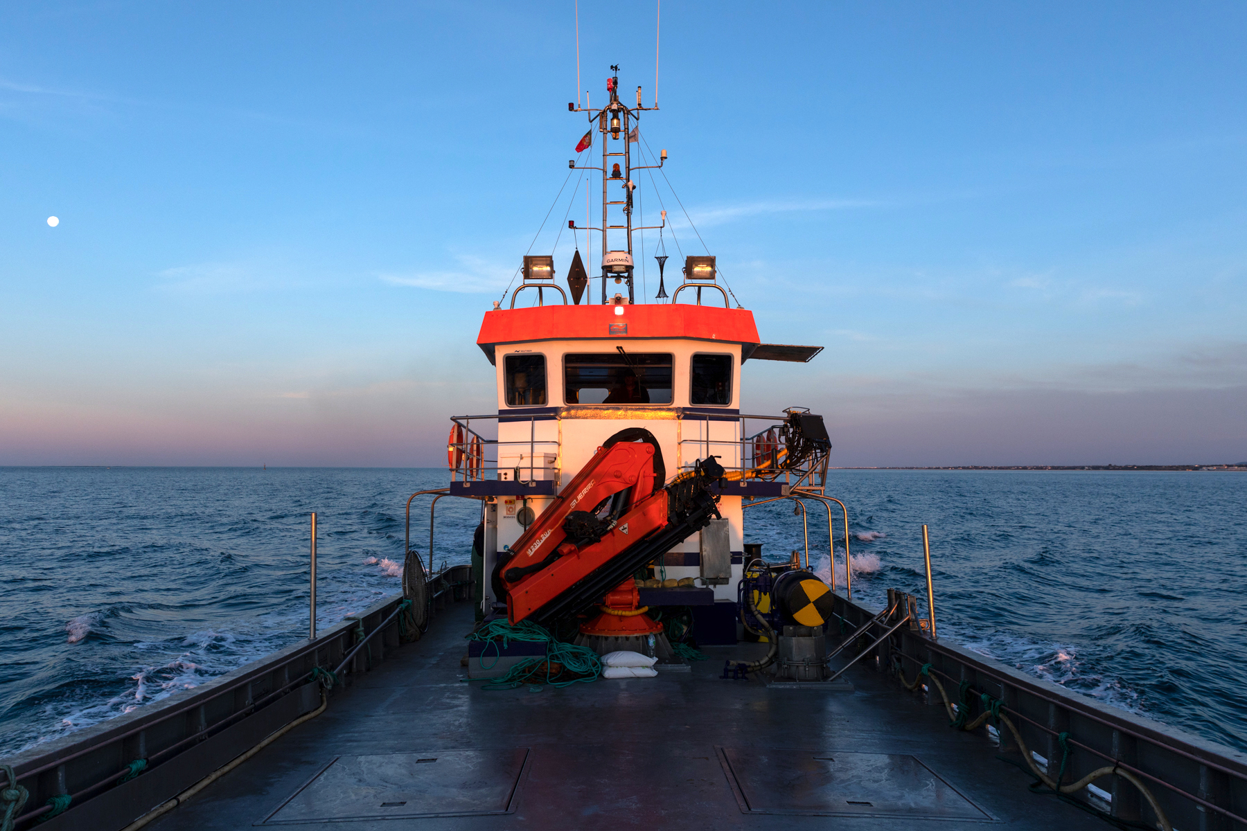 Tuna-Rabilho Target of clandestine fishing near the barrel frame