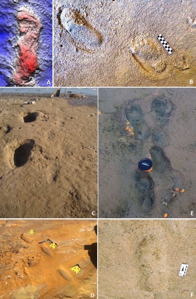 80,000 -year -old Neanderthal boy discoveries hunting in the Algarve dunes
