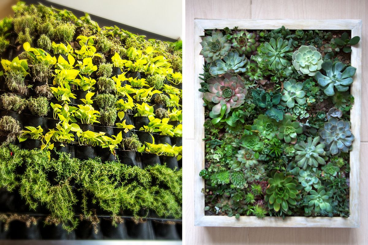 Take advantage of the walls to grow on very small balconies