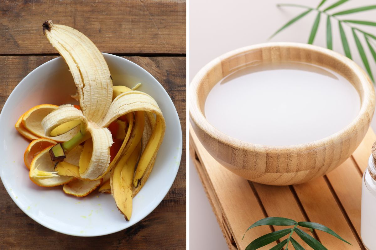 Rice and banana water for the blooms