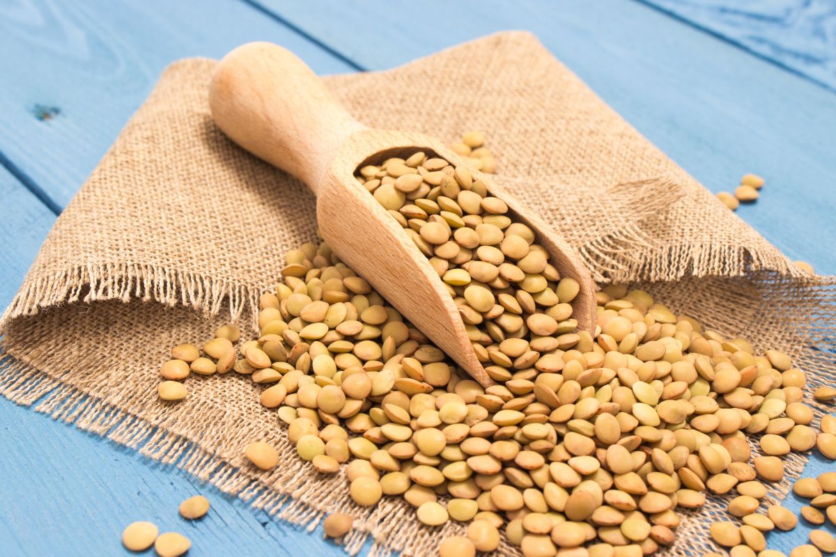 Natural fertilizer with brushed lentils booster