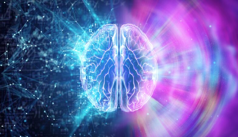 The brain has a hidden pace that reveals our intelligence