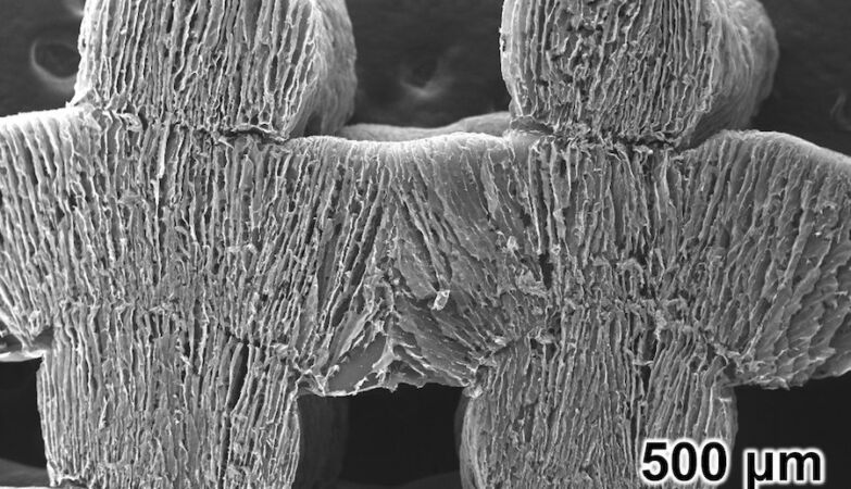 New sponge transforms seawater into drinking water: only needs sun
