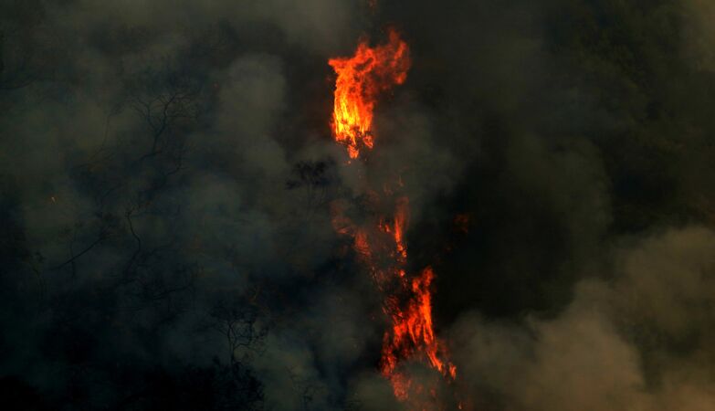 Fire advances: flames at 300m of village, much concern, many damage