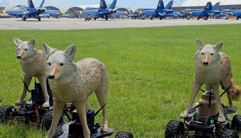 COOTS-ROBOTO are protecting the US army with “a lovely cyberferocity”