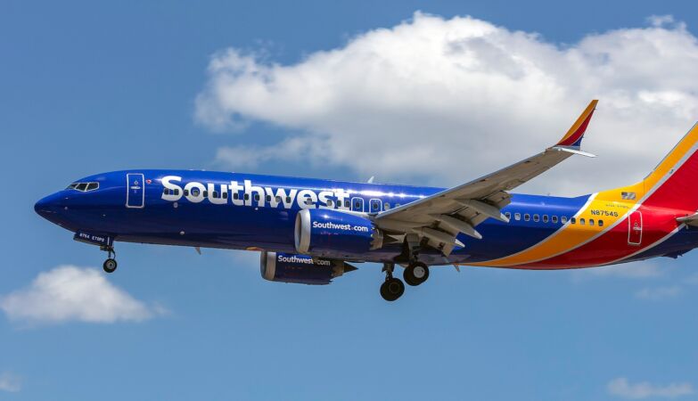 "It was a pandemonium." Plane dives 91 meters in 30 seconds to avoid collision