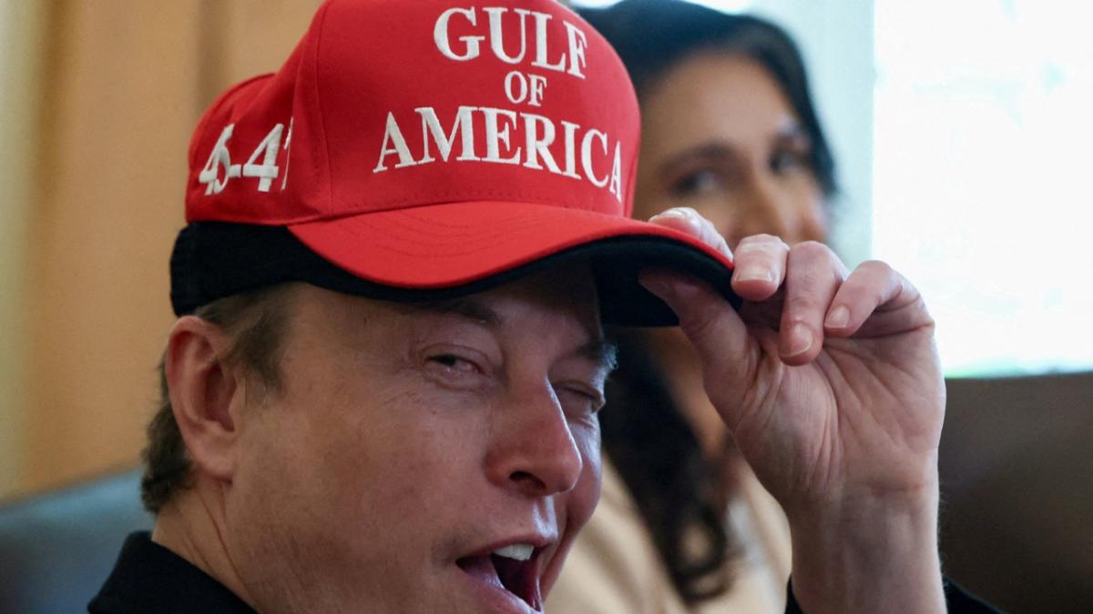 America Party: What is known about Elon Musk's new game