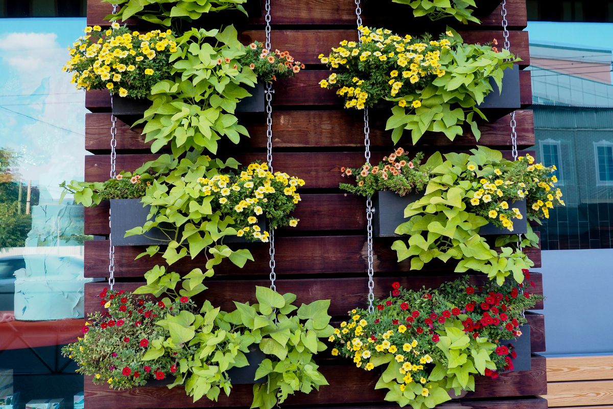 Vertical vegetable garden with pallets on very small balconies