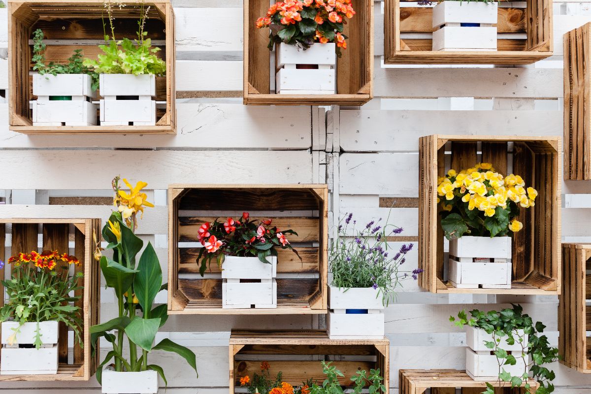 DIY planters with wooden boxes