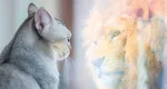 Mercury retrograde in Leo tests each sign. It is 