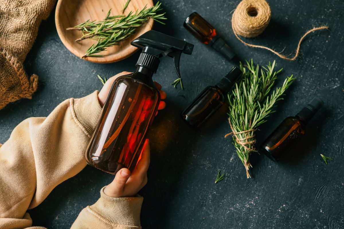 rosemary to deodorise the furniture