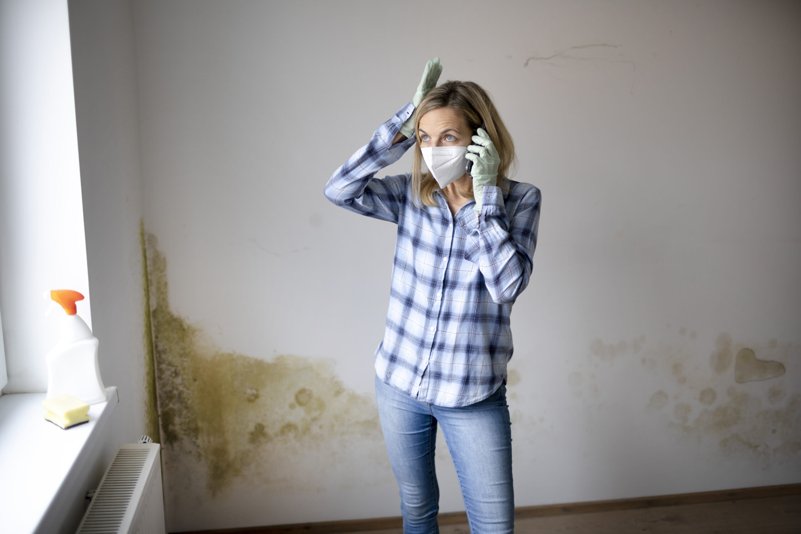 Mold smell at home? Learn the “German trick” that drives moisture and leaves the air fresh