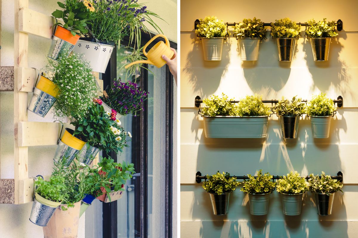 Take advantage of the walls to grow on very small balconies