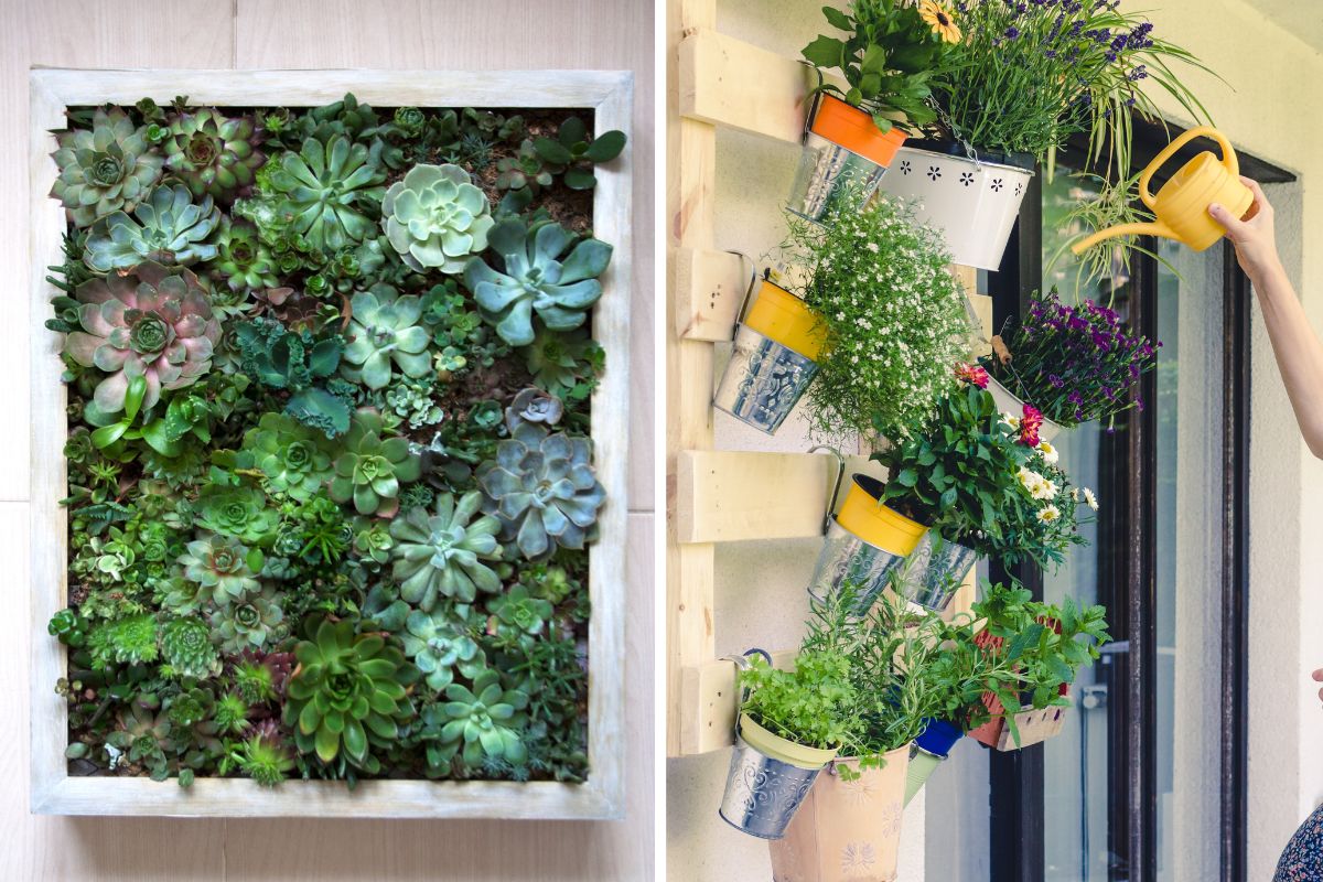 Vertical vegetable garden on balcony