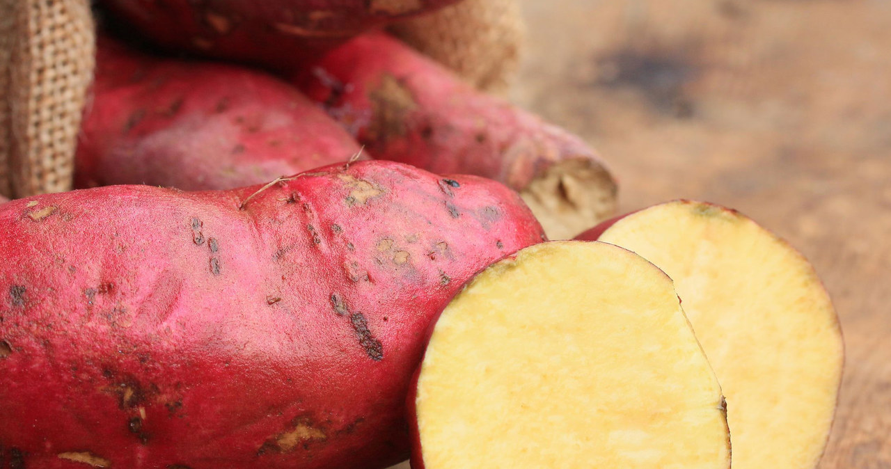 The basis for making Goguma Latte is sweet potat /123RF /PICSEL