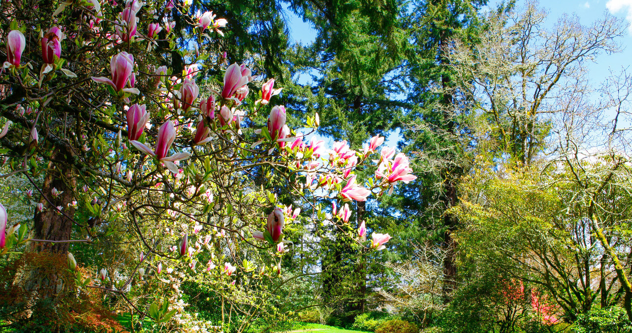 It is worth starting to prepare the garden for autumn as early as August /132RF /123RF /PICSEL